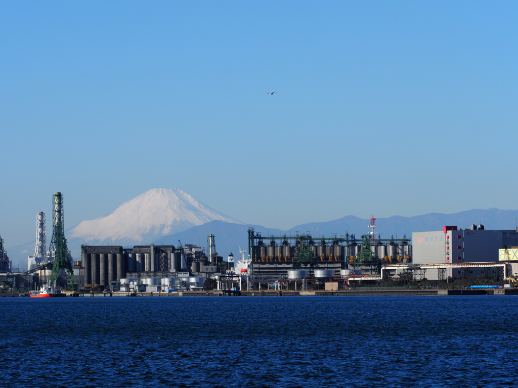 岸壁から見た富士山その２