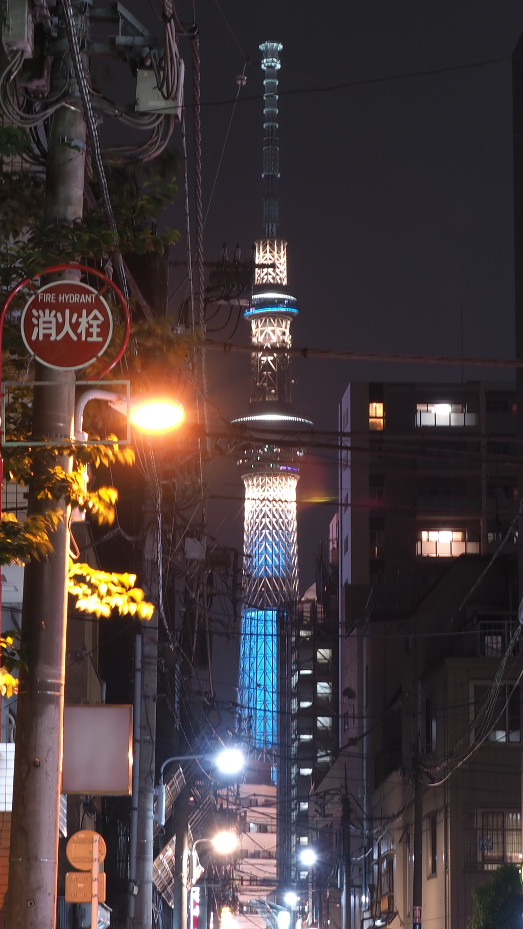 ビルの谷間から