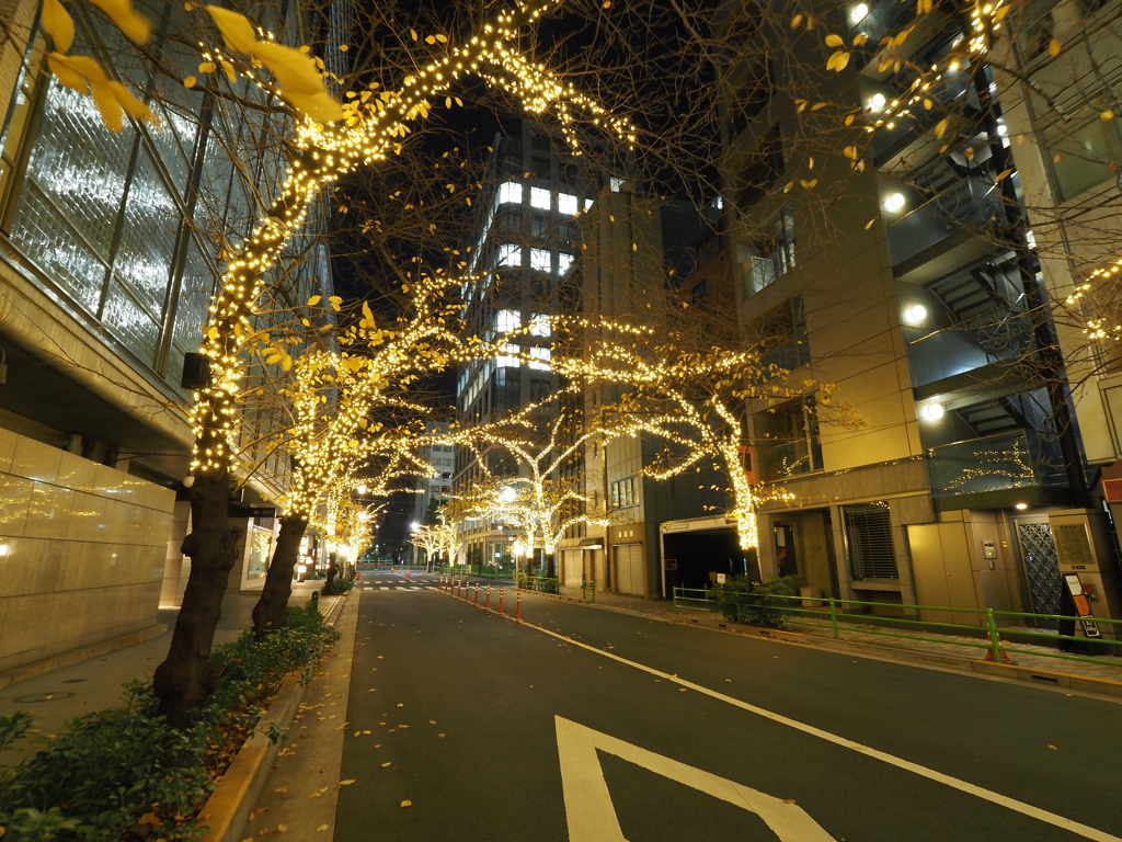 銀座高島屋周辺イルミネーションその１０