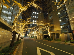 銀座高島屋周辺イルミネーションその１０