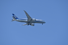 試し撮りその１