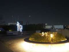 スカイツリー夜景その４