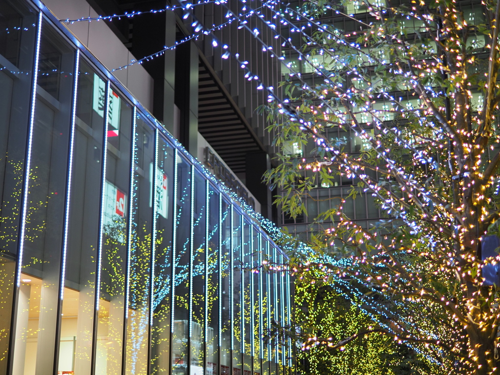 アキバのイルミその２