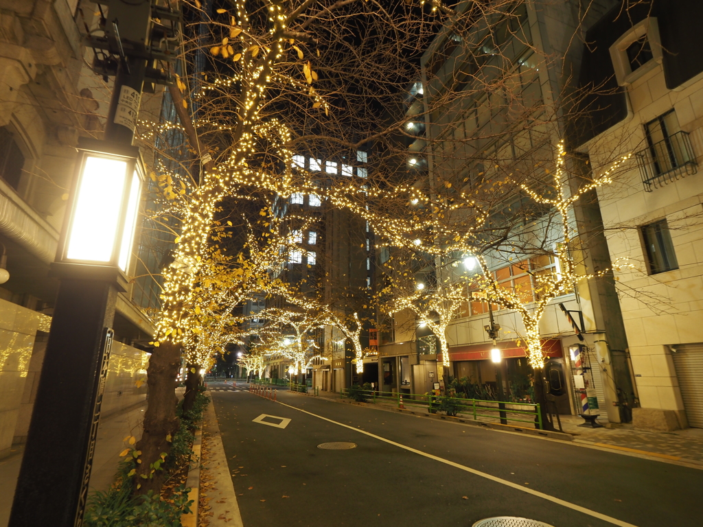 銀座高島屋周辺イルミネーションその８