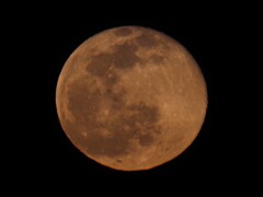 ２月の満月その１