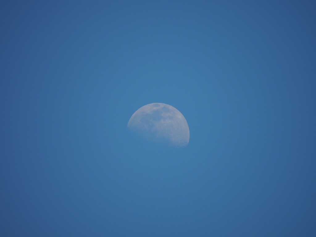 昼のお月様その１