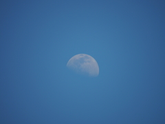 昼のお月様その１