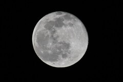 ２月の満月その３