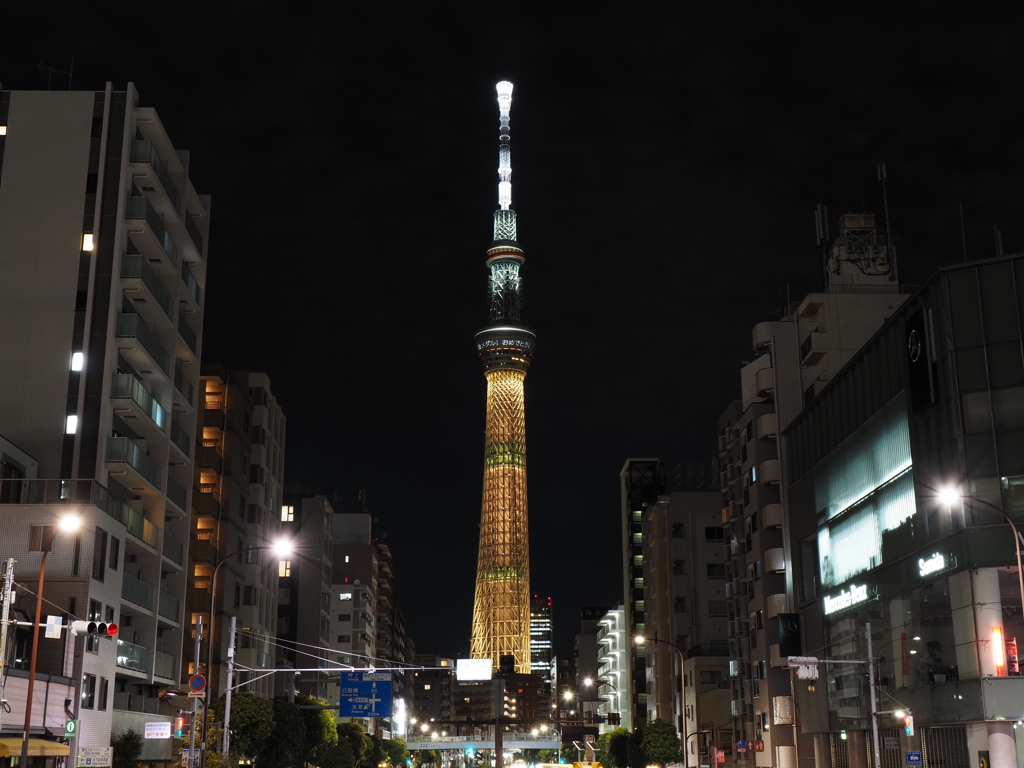 金メダルお祝いライティングその1