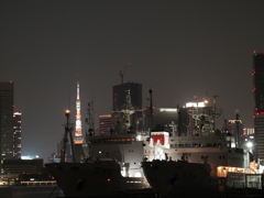 晴海ターミナルからの夜景その８
