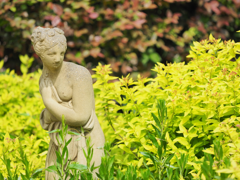 バラ園に有った石像その１