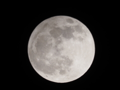 満月その１