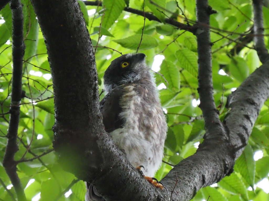 もぞもぞ動き出しました