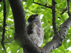 もぞもぞ動き出しました