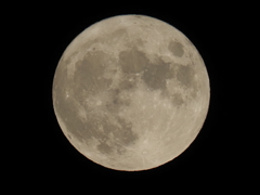 昨日の満月その2