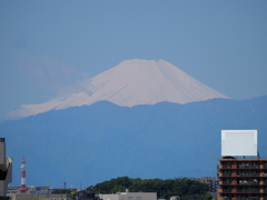 今日の富士山