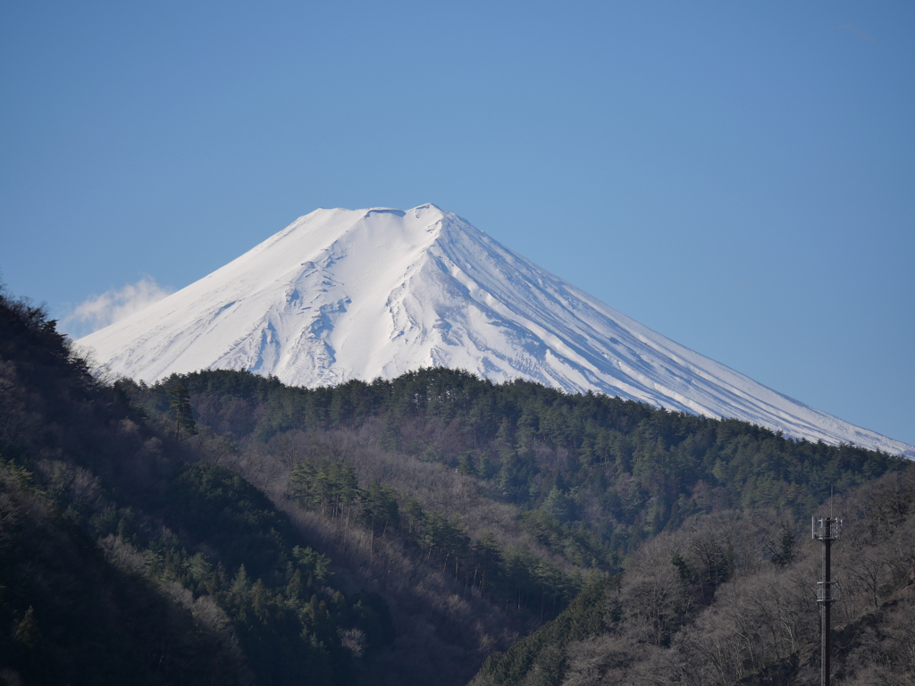 普通に富士山