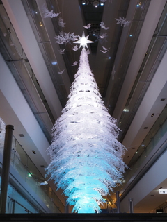 表参道ヒルズのクリスマスツリーその２