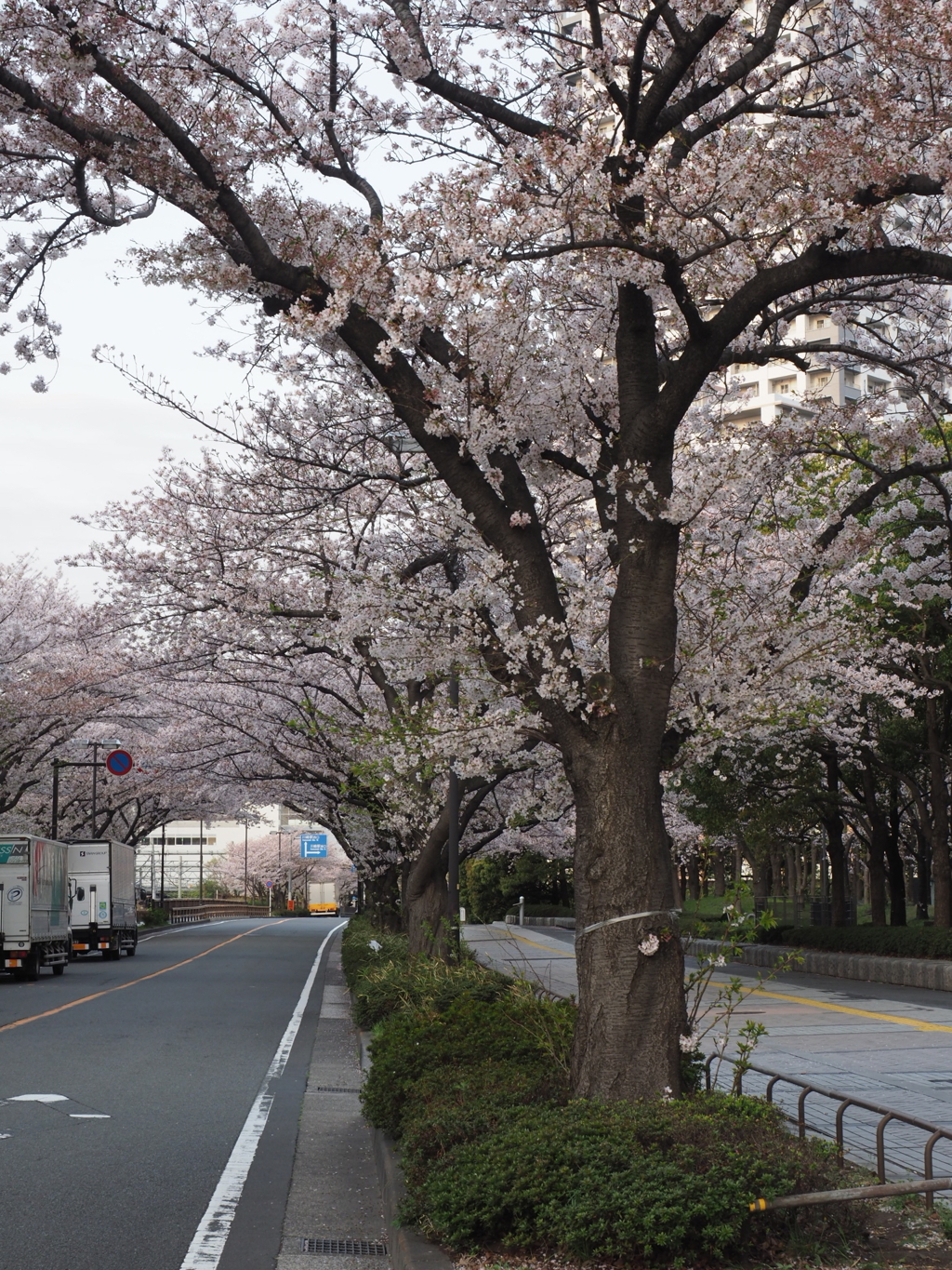 F3D94DAD-1792-48A7-8195-2BC5B72922E5