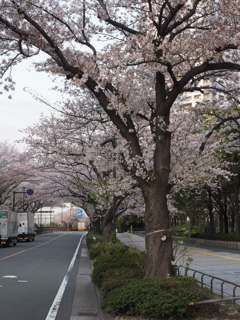 F3D94DAD-1792-48A7-8195-2BC5B72922E5