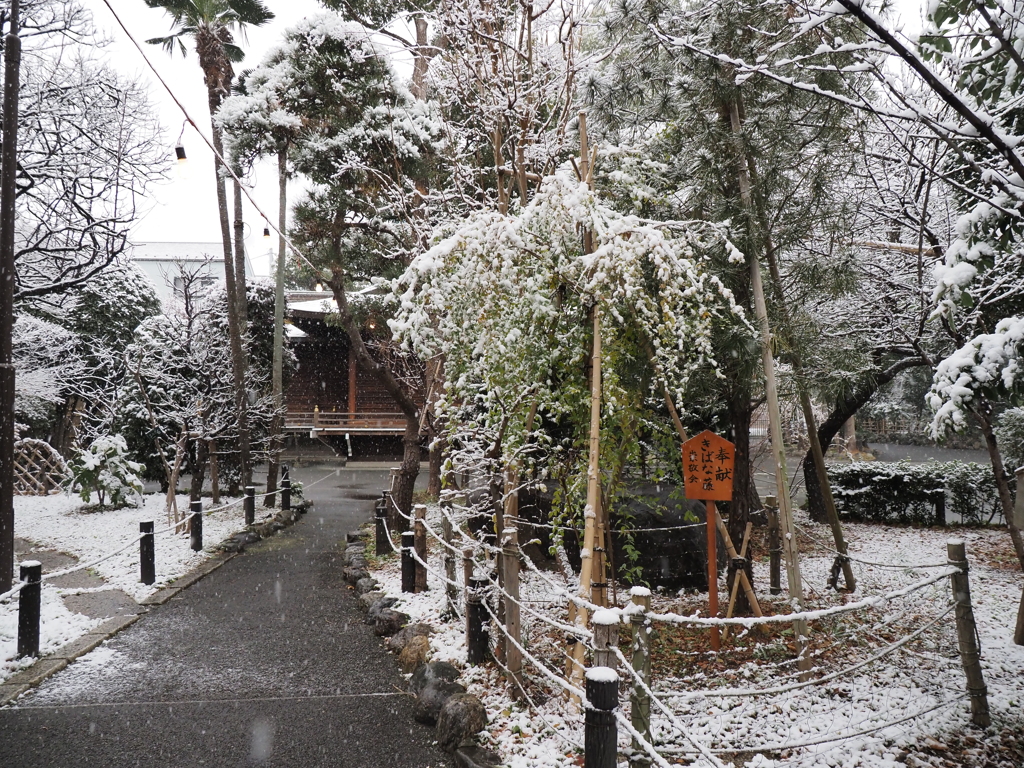 雪の東京その１０