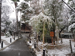 雪の東京その１０