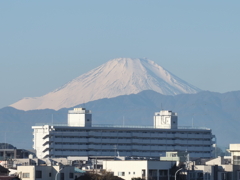 元旦の富士山その１