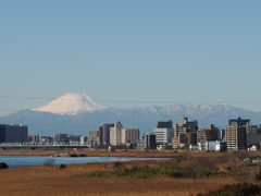 富士山