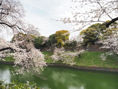 千鳥ヶ淵周辺散策その１６