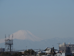 街中から見た富士山その１
