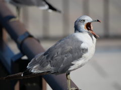 いわきららみゅうにて