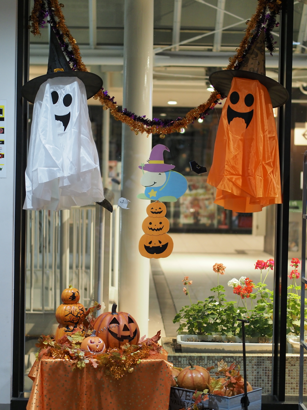 試し撮りその５