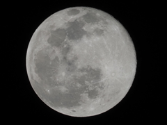 今年初の満月