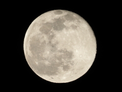 満月その２
