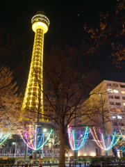 横浜夜景その12