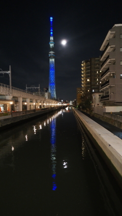 今日のスカイツリー