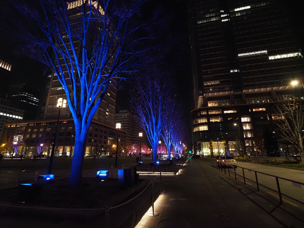 東京駅イルミネーションその２