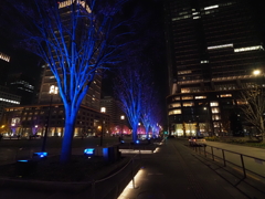 東京駅イルミネーションその２