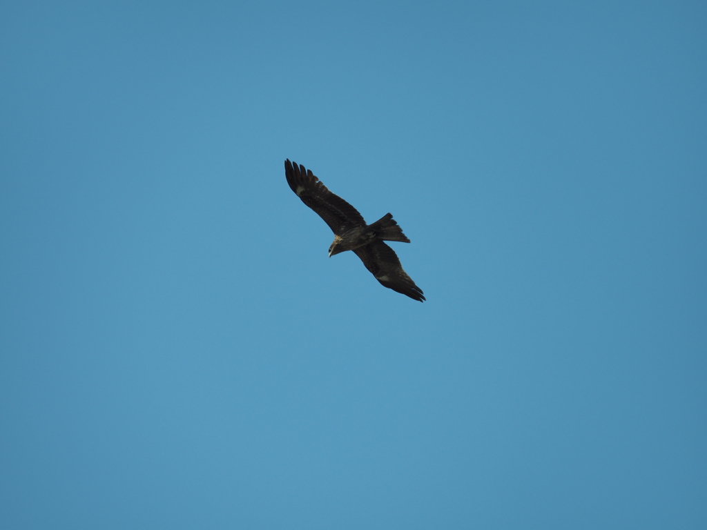 ソレイユの丘その１０