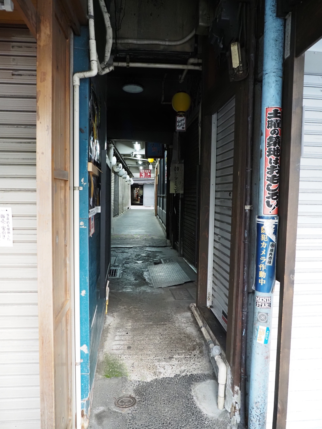 築地場外試し撮りその３