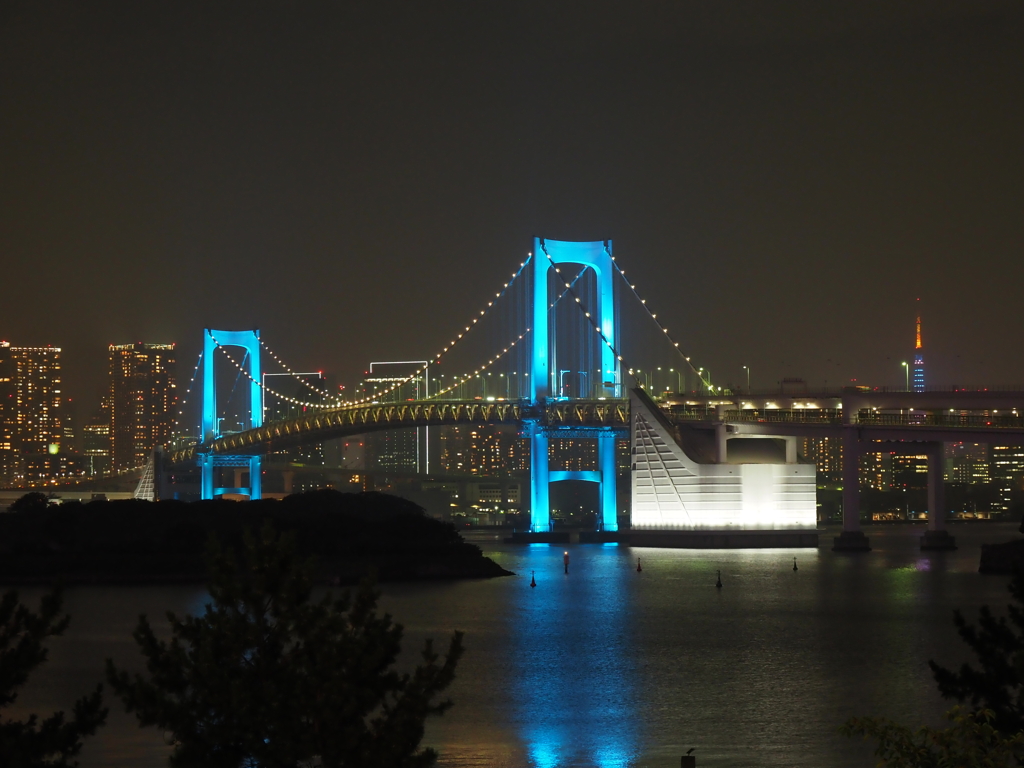 レインボーブリッジ夜景その２