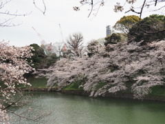 千鳥ヶ淵周辺散策その１２