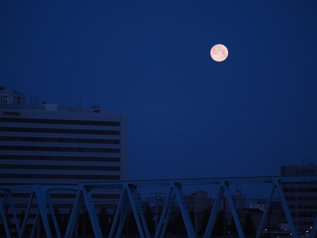 橋の上から月を眺める