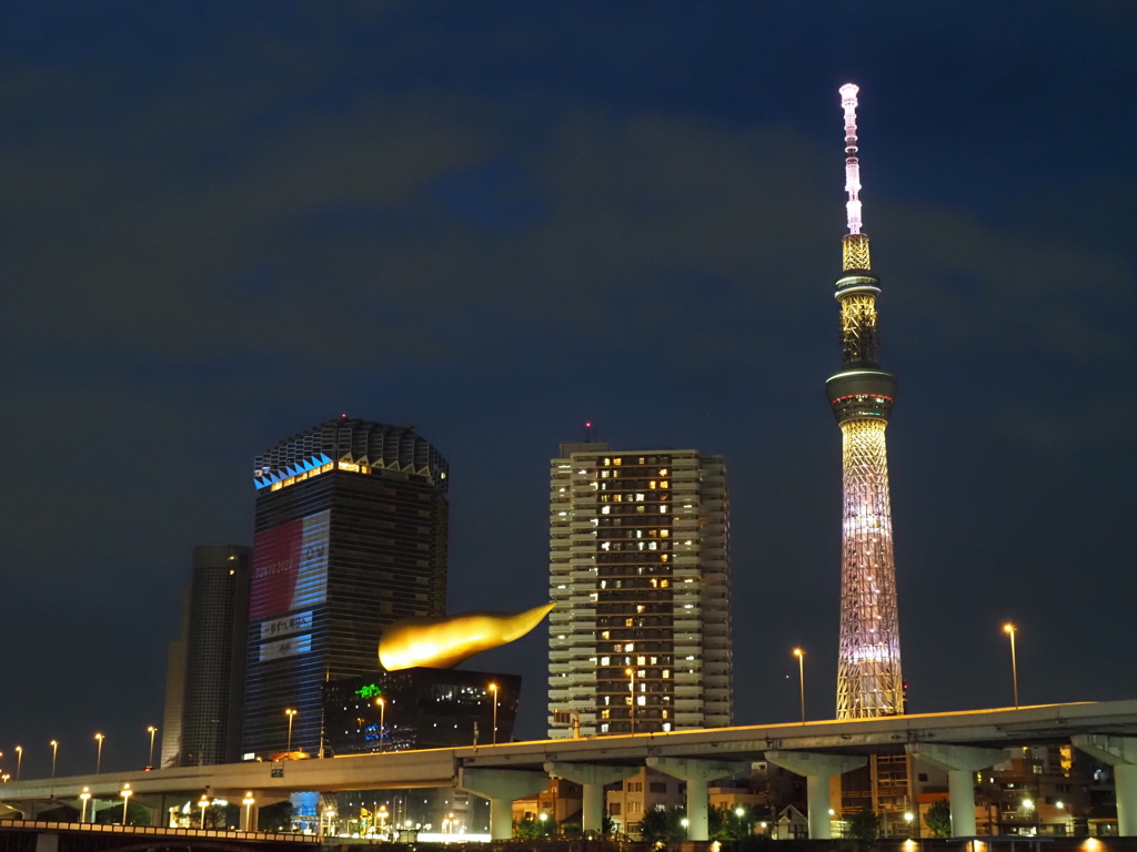 東京スカイツリー夜景その１０