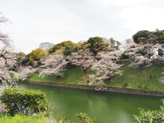 千鳥ヶ淵周辺散策その１９
