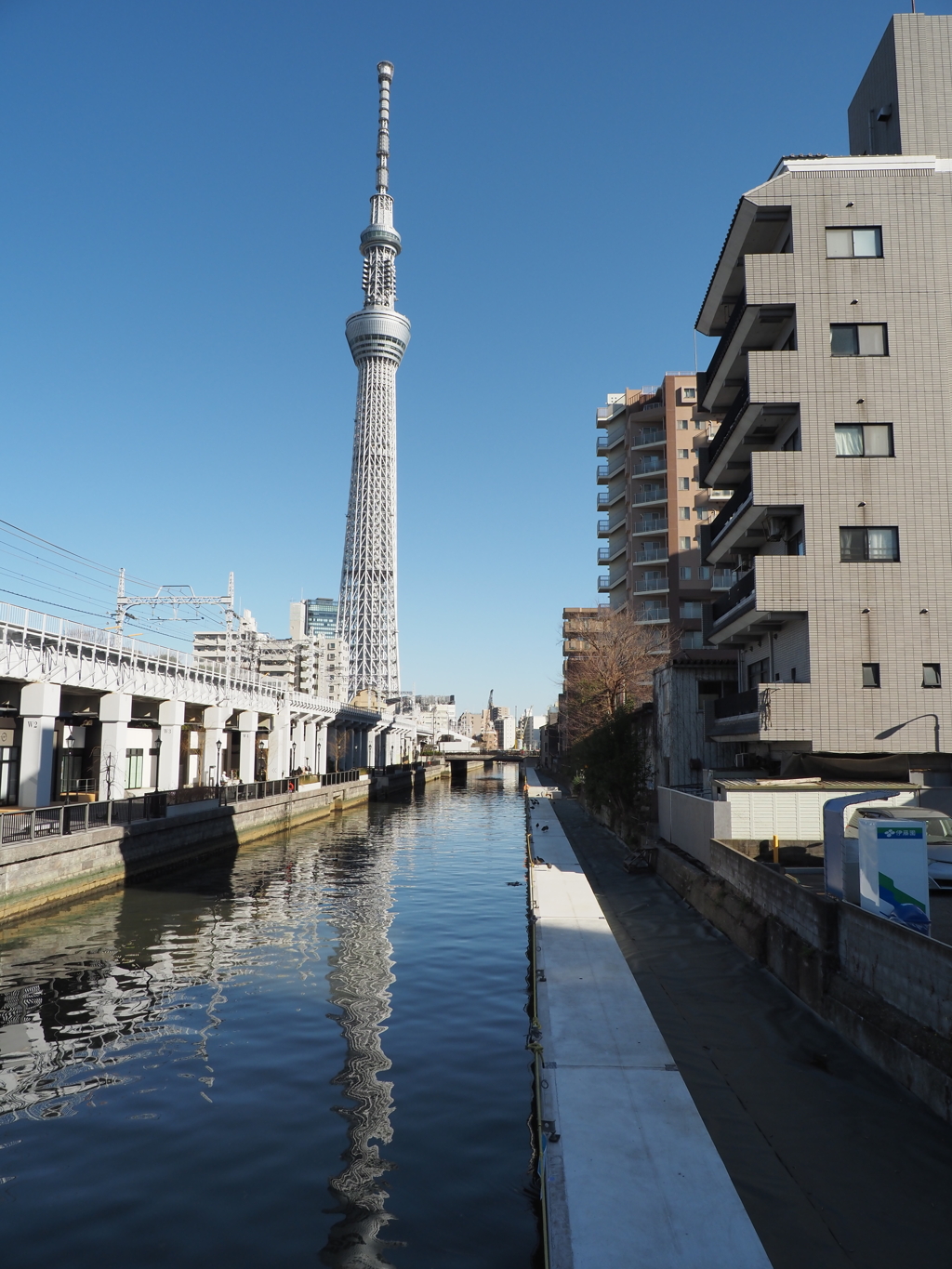昼間のスカイツリー