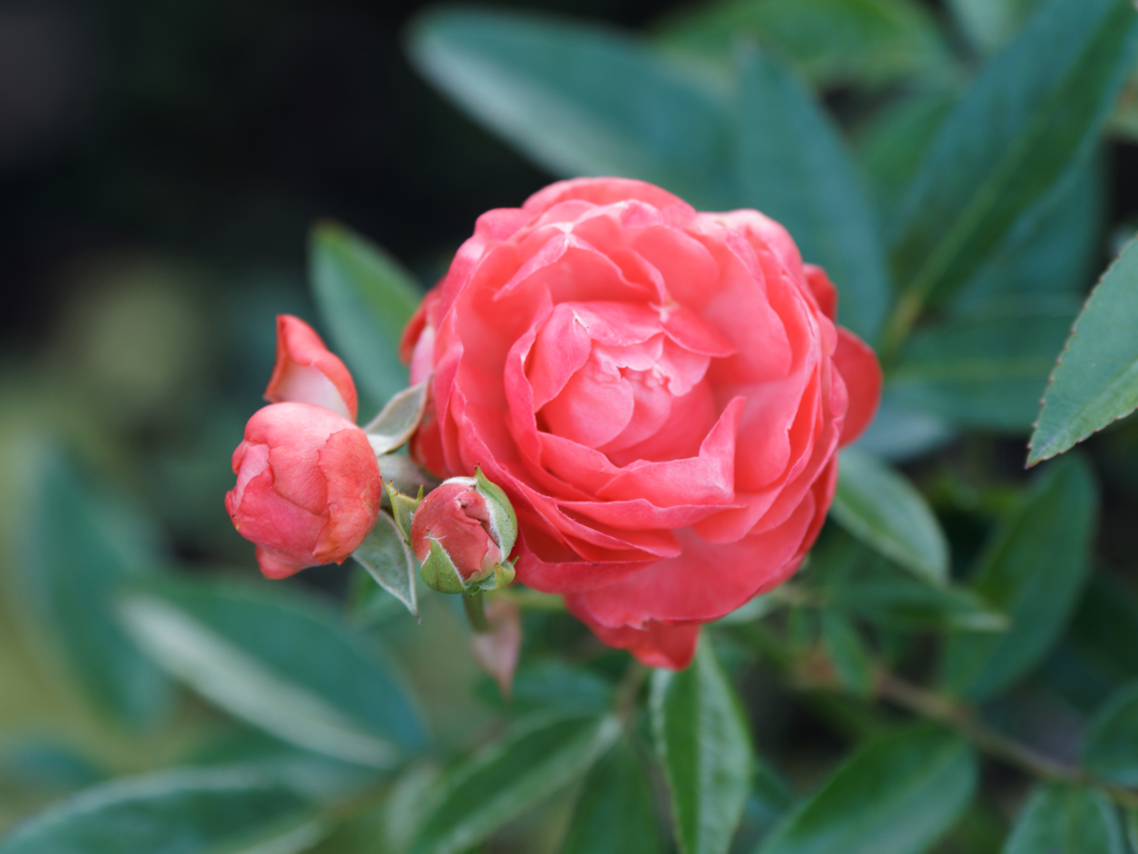 山下公園その１４