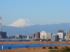 多摩川河川敷から見た富士山その１