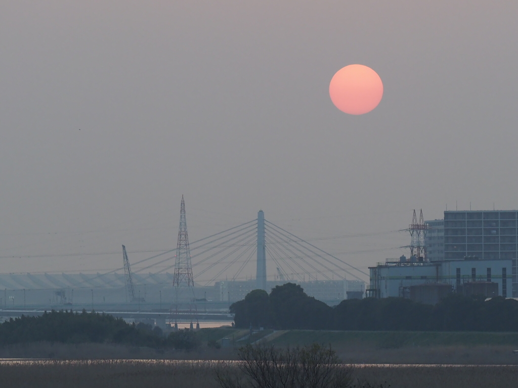 六郷橋から見た朝日5