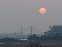 六郷橋から見た朝日5